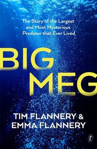 Cover image for Big Meg