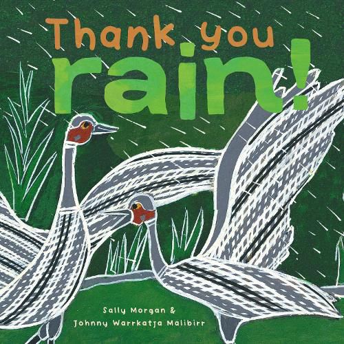 Cover image for Thank You Rain!